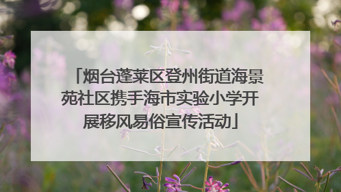 烟台蓬莱区登州街道海景苑社区携手海市实验小学开展移风易俗宣传活动