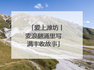 爱上潍坊丨麦浪翻涌里写满丰收故事