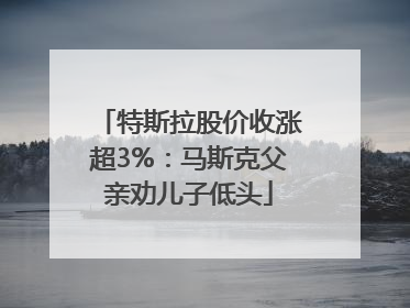 特斯拉股价收涨超3%：马斯克父亲劝儿子低头