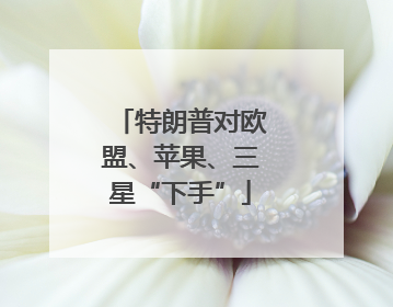 特朗普对欧盟、苹果、三星“下手”