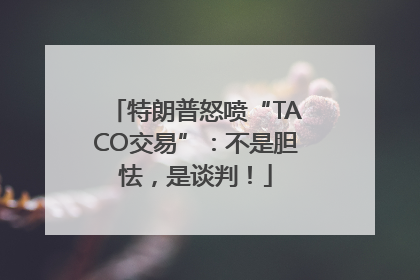 特朗普怒喷“TACO交易”：不是胆怯，是谈判！