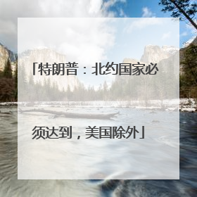 特朗普：北约国家必须达到，美国除外