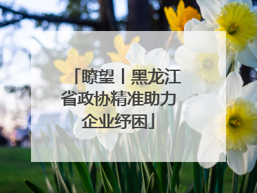 瞭望丨黑龙江省政协精准助力企业纾困