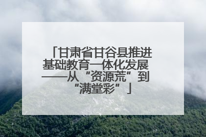 甘肃省甘谷县推进基础教育一体化发展——从“资源荒”到“满堂彩”