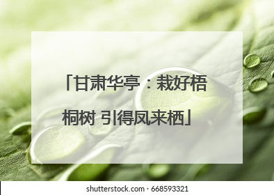 甘肃华亭：栽好梧桐树 引得凤来栖