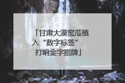 甘肃大漠蜜瓜植入“数字标签” 打响金字招牌