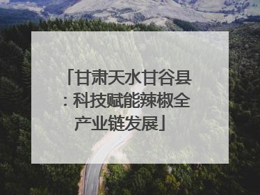 甘肃天水甘谷县：科技赋能辣椒全产业链发展