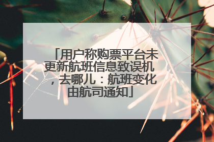 用户称购票平台未更新航班信息致误机，去哪儿：航班变化由航司通知