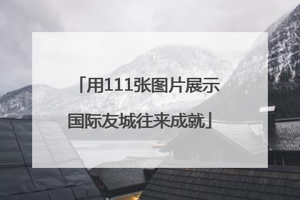 用111张图片展示国际友城往来成就