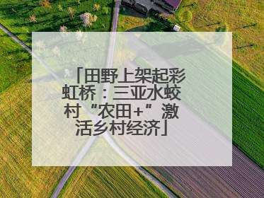 田野上架起彩虹桥：三亚水蛟村“农田+”激活乡村经济