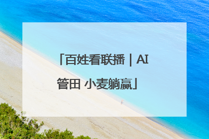 百姓看联播｜AI管田 小麦躺赢
