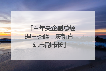 百年央企副总经理王秀峰，履新直辖市副市长
