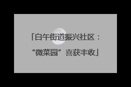 白午街道振兴社区：“微菜园”喜获丰收