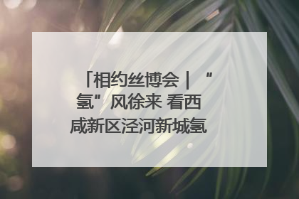 相约丝博会｜“氢”风徐来 看西咸新区泾河新城氢能产业聚链成势