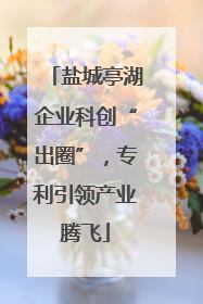 盐城亭湖企业科创“出圈”，专利引领产业腾飞