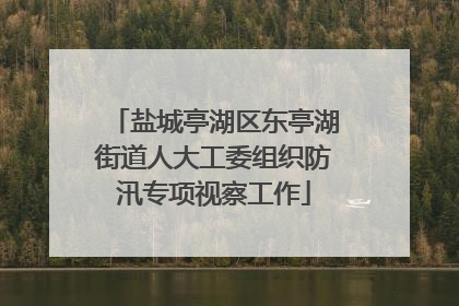 盐城亭湖区东亭湖街道人大工委组织防汛专项视察工作