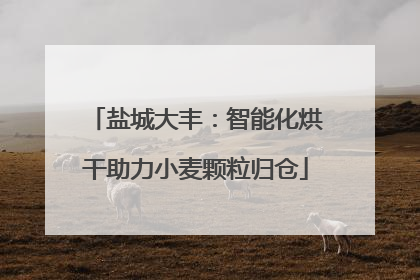 盐城大丰：智能化烘干助力小麦颗粒归仓
