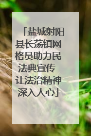 盐城射阳县长荡镇网格员助力民法典宣传 让法治精神深入人心