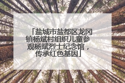 盐城市盐都区龙冈镇杨斌村组织儿童参观杨斌烈士纪念馆，传承红色基因
