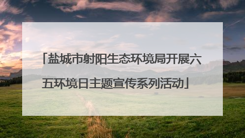 盐城市射阳生态环境局开展六五环境日主题宣传系列活动