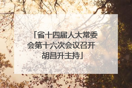 省十四届人大常委会第十六次会议召开 胡昌升主持