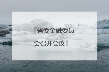 省委金融委员会召开会议