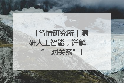 省情研究所｜调研人工智能，详解“三对关系”