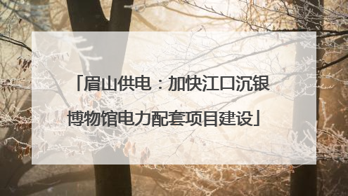 眉山供电：加快江口沉银博物馆电力配套项目建设