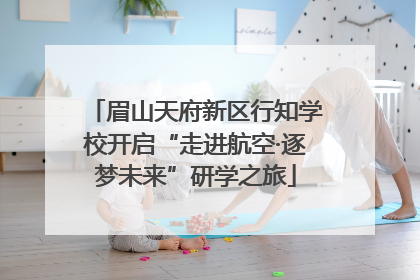 眉山天府新区行知学校开启“走进航空·逐梦未来”研学之旅