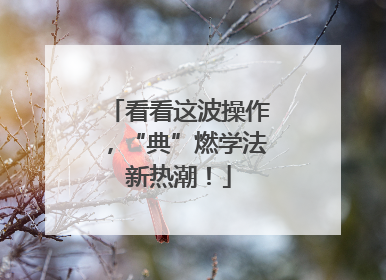 看看这波操作，“典”燃学法新热潮！