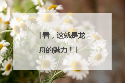 看，这就是龙舟的魅力！