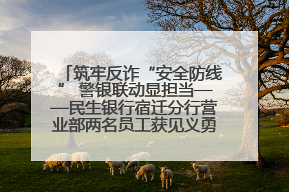 筑牢反诈“安全防线” 警银联动显担当——民生银行宿迁分行营业部两名员工获见义勇为基金会表彰