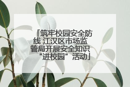 筑牢校园安全防线 江汉区市场监管局开展安全知识“进校园”活动