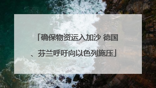 确保物资运入加沙 德国、芬兰呼吁向以色列施压
