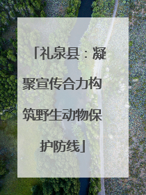 礼泉县：凝聚宣传合力构筑野生动物保护防线