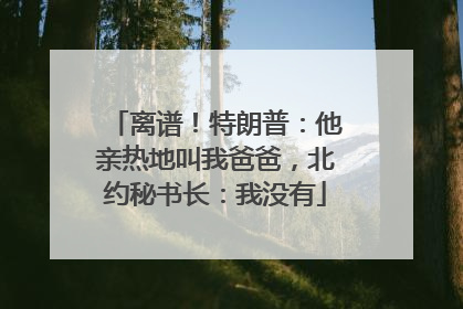 离谱！特朗普：他亲热地叫我爸爸，北约秘书长：我没有