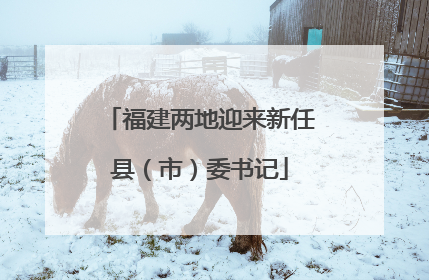 福建两地迎来新任县（市）委书记
