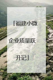 福建小微企业质量跃升记