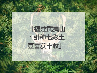 福建武夷山：引种七彩土豆喜获丰收