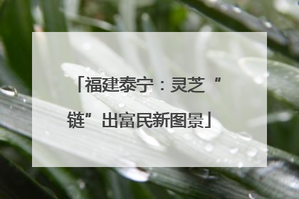 福建泰宁：灵芝“链”出富民新图景