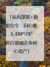 私有部署+数据安全：同心雁S-ERP守护医疗器械企业核心资产