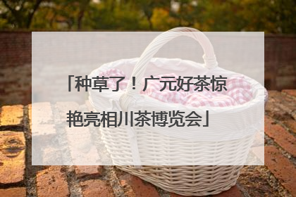 种草了！广元好茶惊艳亮相川茶博览会