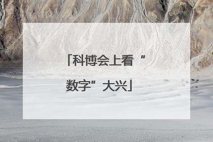 科博会上看“数字”大兴