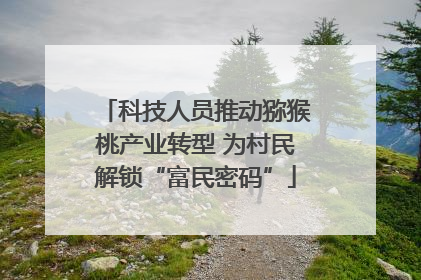 科技人员推动猕猴桃产业转型 为村民解锁“富民密码”