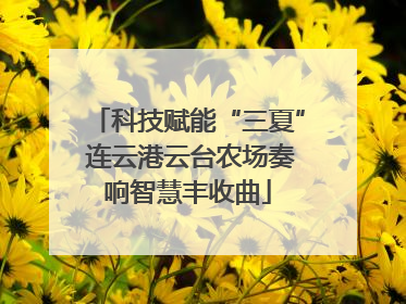 科技赋能“三夏” 连云港云台农场奏响智慧丰收曲