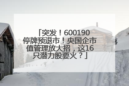 突发！600190停牌预退市！央国企市值管理放大招，这16只潜力股要火？