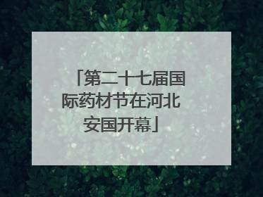 第二十七届国际药材节在河北安国开幕