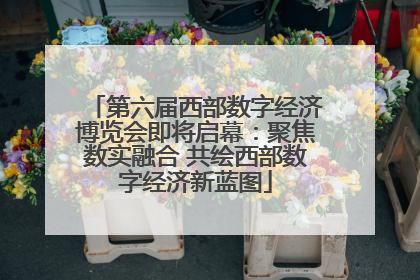 第六届西部数字经济博览会即将启幕：聚焦数实融合 共绘西部数字经济新蓝图