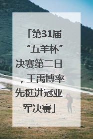 第31届“五羊杯”决赛第二日，王禹博率先挺进冠亚军决赛