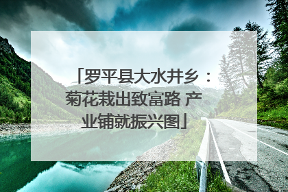 罗平县大水井乡：菊花栽出致富路 产业铺就振兴图